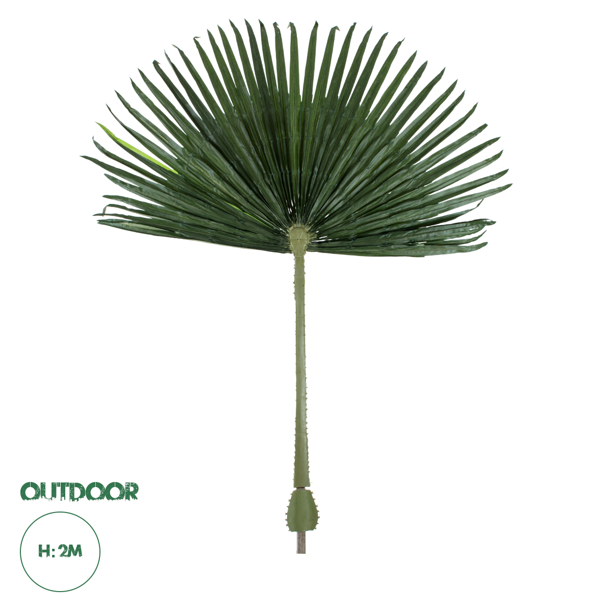 20171 GloboStar® Artificial Garden WASHINGTONIA FILIFERA PALM LEAF 20171 Τεχνητό Διακοσμητικό Φύλο Φοινικόδεντρου Βεντάλια Π170 x Υ200cm 20171 GloboStar® Artificial Garden WASHINGTONIA FILIFERA PALM LEAF 20171 Τεχνητό Διακοσμητικό Φύλο Φοινικόδεντρου Βεντάλια Π170 x Υ200cm