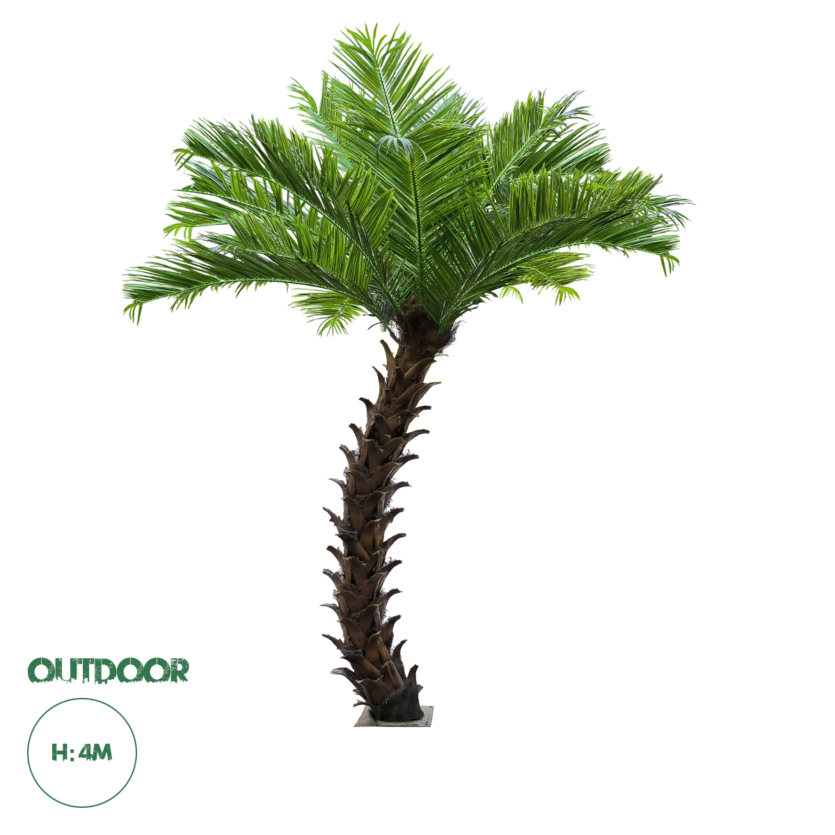 20188 GloboStar® Artificial Garden PHOENIX ROEBELENII PALM TREE 20188 Τεχνητό Διακοσμητικό Φυτό Φοινικόδεντρο Ρομπελίνι Εξωτερικού Χώρου IP68 UV Certified Protection Υ400cm 20188 GloboStar® Artificial Garden PHOENIX ROEBELENII PALM TREE 20188 Τεχνητό Διακοσμητικό Φυτό Φοινικόδεντρο Ρομπελίνι Εξωτερικού Χώρου IP68 UV Certified Protection Υ400cm