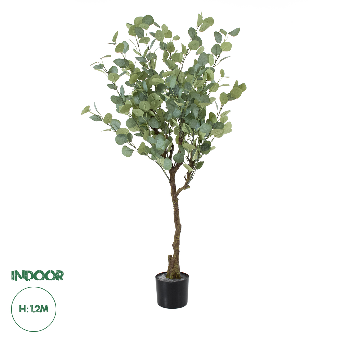 20189 GloboStar® Artificial Garden EUCALYPTUS 20189 Τεχνητό Διακοσμητικό Φυτό Ευκάλυπτος Υ120cm 20189 GloboStar® Artificial Garden EUCALYPTUS 20189 Τεχνητό Διακοσμητικό Φυτό Ευκάλυπτος Υ120cm