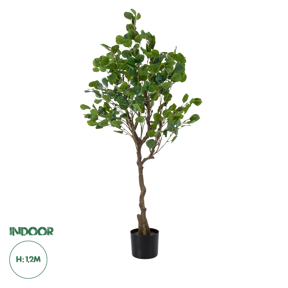 20190 GloboStar®  Artificial Garden EUCALYPTUS 20190 Τεχνητό Διακοσμητικό Φυτό Ευκάλυπτος Υ120cm