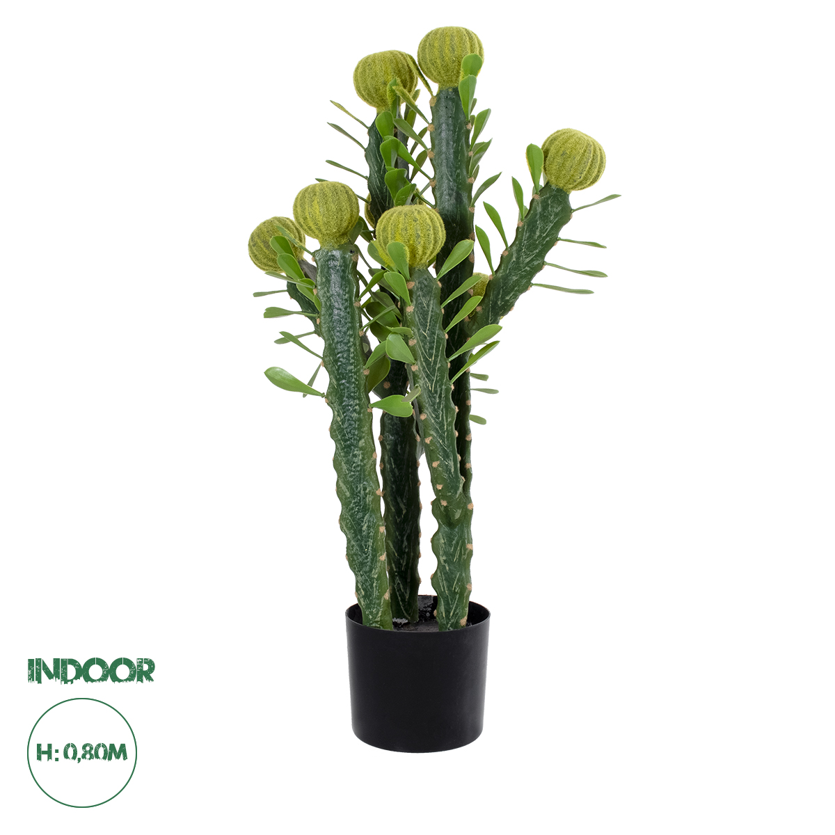 20192 GloboStar®  Artificial Garden CEREUS JAMACARU CACTUS 20192 Τεχνητό Διακοσμητικό Φυτό Κάκτος Κηρίος Υ80cm