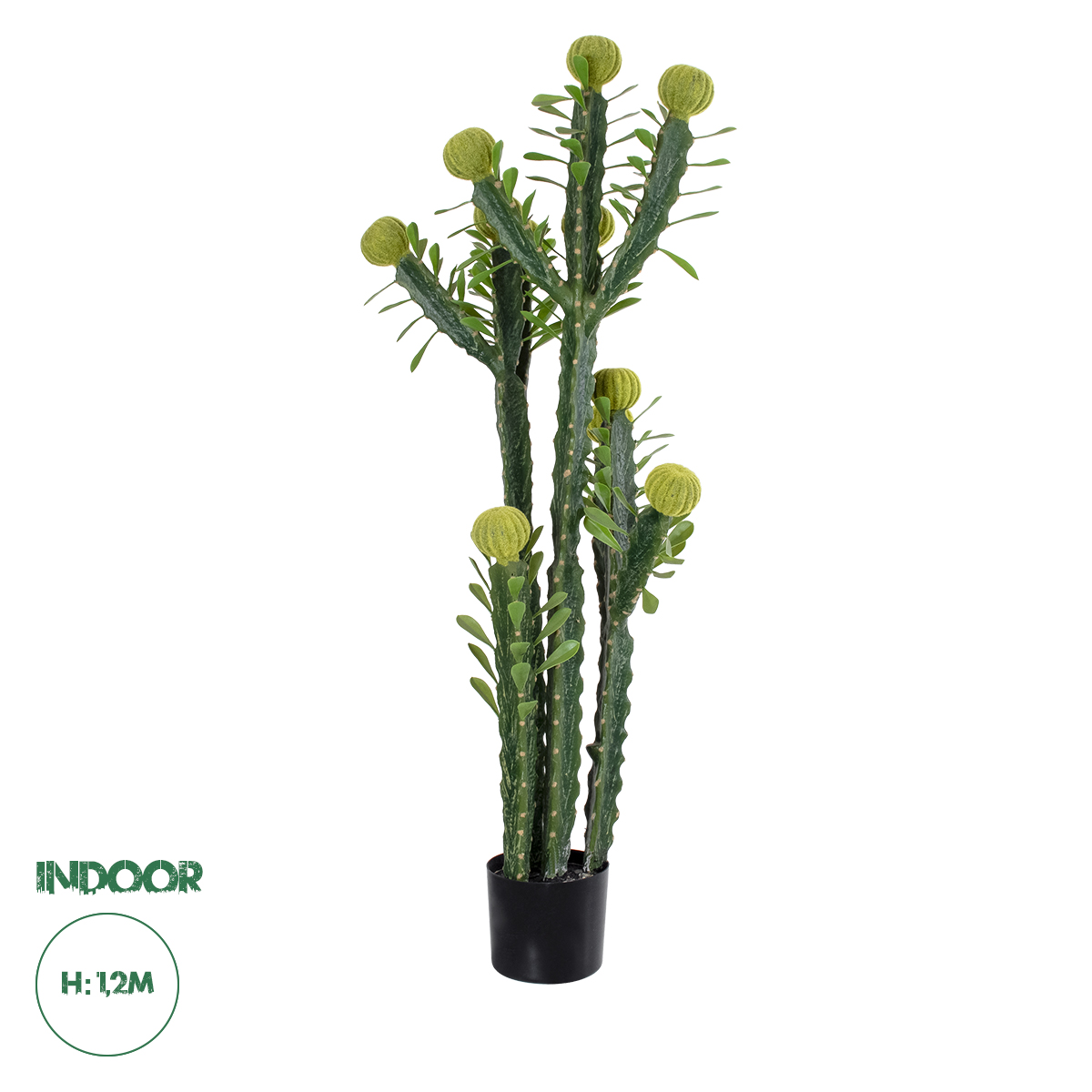 20193 GloboStar® Artificial Garden CEREUS JAMACARU CACTUS 20193 Τεχνητό Διακοσμητικό Φυτό Κάκτος Κηρίος Υ120cm 20193 GloboStar® Artificial Garden CEREUS JAMACARU CACTUS 20193 Τεχνητό Διακοσμητικό Φυτό Κάκτος Κηρίος Υ120cm
