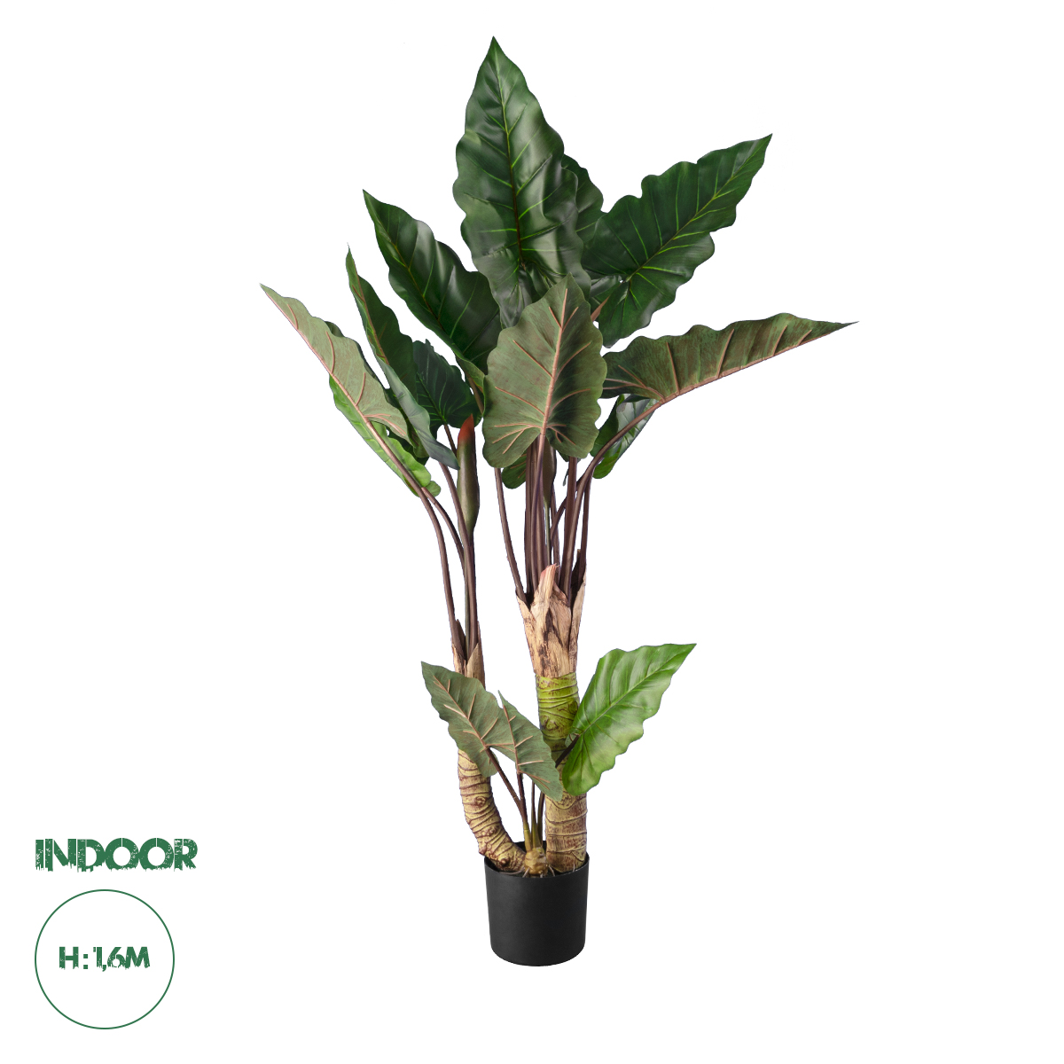 20208 GloboStar®  Artificial Garden RAINBOW TARO 20208 Τεχνητό Διακοσμητικό Φυτό Κολοκασία Υ160cm