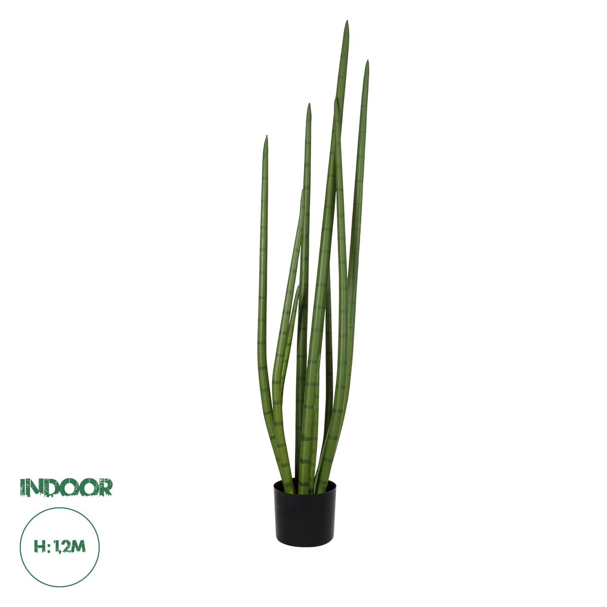 20210 GloboStar®  Artificial Garden SANSEVIERIA CYLINDRICA 20210 Τεχνητό Διακοσμητικό Φυτό Σανσεβιέρια Υ120cm