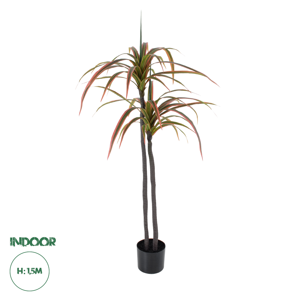 20370 GloboStar®  Artificial Garden DRAGON BLOOD TREE 20370 – Τεχνητό Διακοσμητικό Φυτό Δράκαινα Υ150cm