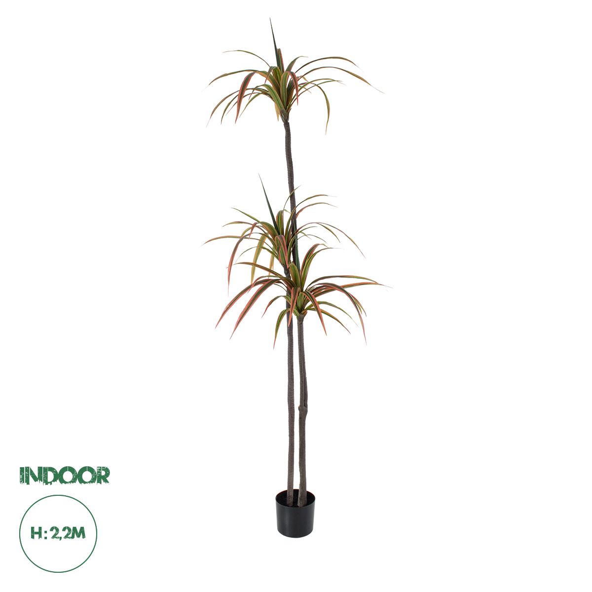 20371 GloboStar®  Artificial Garden DRAGON BLOOD TREE 20371 – Τεχνητό Διακοσμητικό Φυτό Δράκαινα Υ220cm