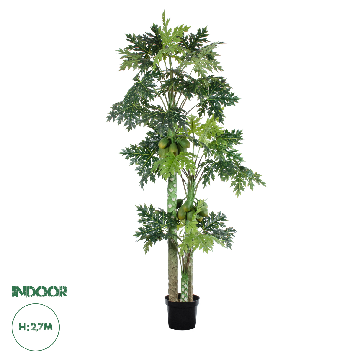 20383 GloboStar® Artificial Garden PAPAYA TREE 20383 Τεχνητό Διακοσμητικό Φυτό Παπάγια Υ270cm 20383 GloboStar® Artificial Garden PAPAYA TREE 20383 Τεχνητό Διακοσμητικό Φυτό Παπάγια Υ270cm