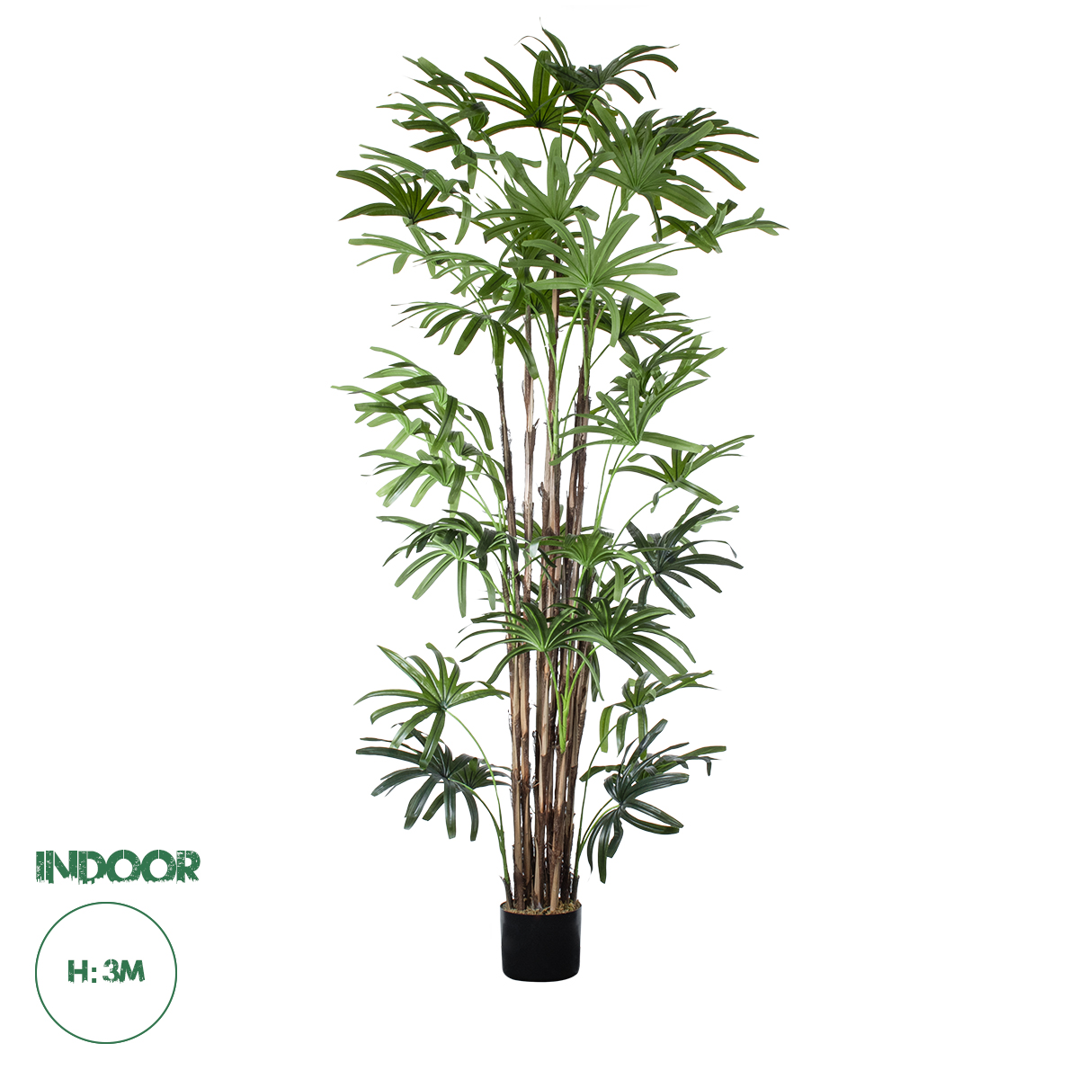 20384 GloboStar® Artificial Garden BROADLEAF LADY PALM TREE 20384 Τεχνητό Διακοσμητικό Φυτό Πλατύφυλλος Φοίνικας Μπαμπού Υ300cm 20384 GloboStar® Artificial Garden BROADLEAF LADY PALM TREE 20384 Τεχνητό Διακοσμητικό Φυτό Πλατύφυλλος Φοίνικας Μπαμπού Υ300cm