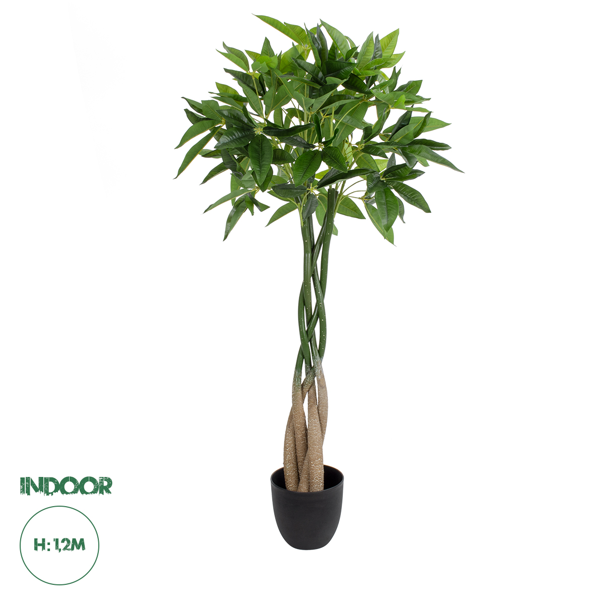20426 GloboStar® Artificial Garden PACHIRA GLABRA 20426 Τεχνητό Διακοσμητικό Φυτό Παχίρα της Τύχης Υ120cm 20426 GloboStar® Artificial Garden PACHIRA GLABRA 20426 Τεχνητό Διακοσμητικό Φυτό Παχίρα της Τύχης Υ120cm
