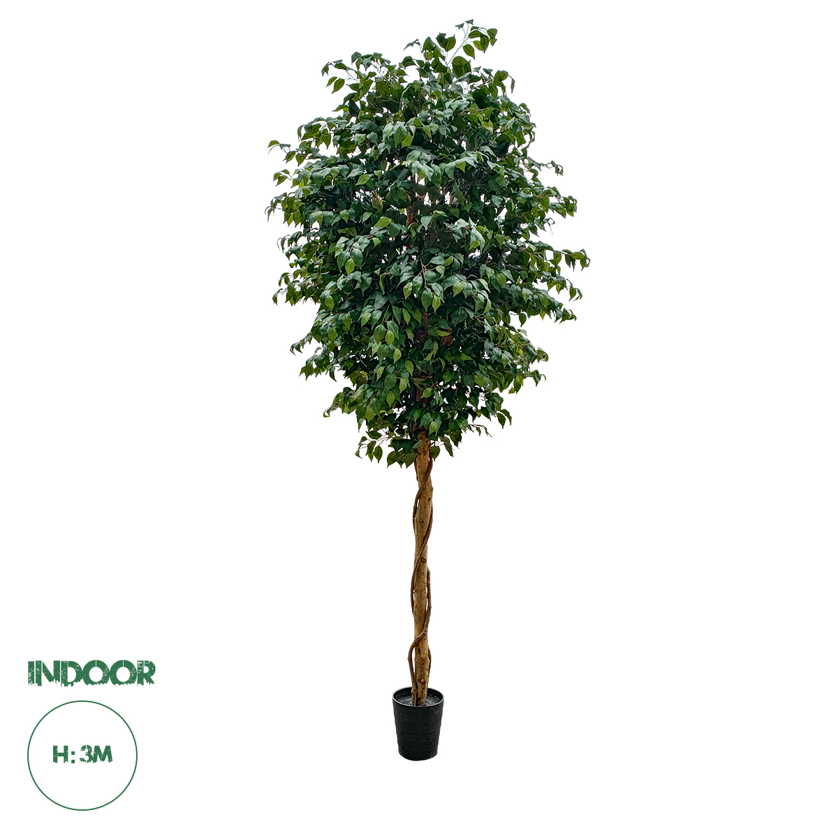 20432 GloboStar®  Artificial Garden FICUS BENJAMINA TREE 20432 Τεχνητό Διακοσμητικό Φυτό Φίκος Μπενζαμίνη Υ300cm