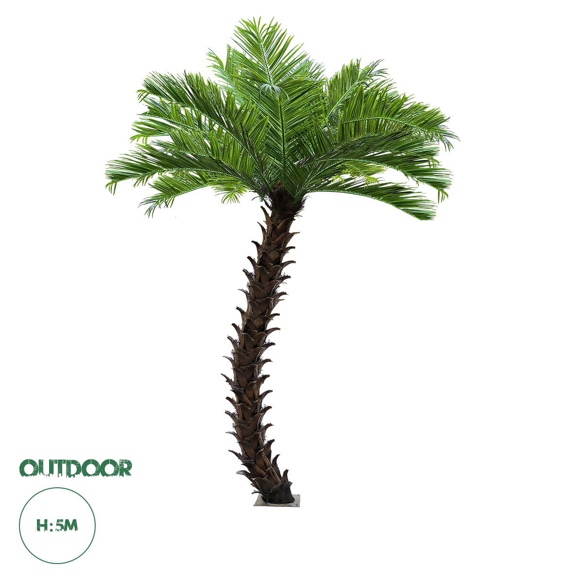 20596 GloboStar® Artificial Garden PHOENIX ROEBELENII PALM TREE 20596 Τεχνητό Διακοσμητικό Φυτό Φοινικόδεντρο Ρομπελίνι Εξωτερικού Χώρου IP68 UV Certified Protection Υ500cm 20596 GloboStar® Artificial Garden PHOENIX ROEBELENII PALM TREE 20596 Τεχνητό Διακοσμητικό Φυτό Φοινικόδεντρο Ρομπελίνι Εξωτερικού Χώρου IP68 UV Certified Protection Υ500cm