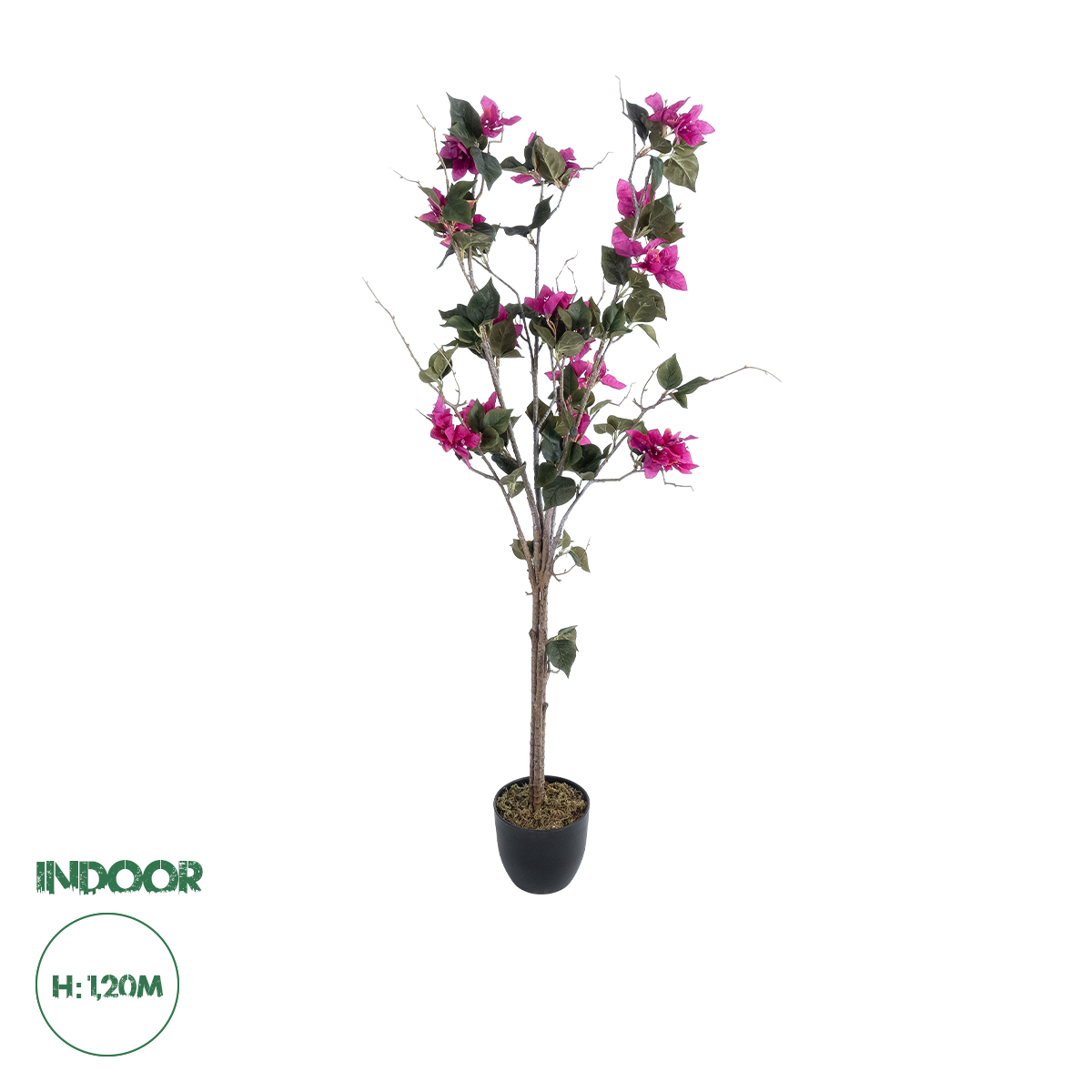 20674 GloboStar® Artificial Garden BOUGAUVILLEA 20674 Τεχνητό Διακοσμητικό Φυτό με Ανθη Μπουκανβίλιας Φουξ Υ120cm 20674 GloboStar® Artificial Garden BOUGAUVILLEA 20674 Τεχνητό Διακοσμητικό Φυτό με Ανθη Μπουκανβίλιας Φουξ Υ120cm
