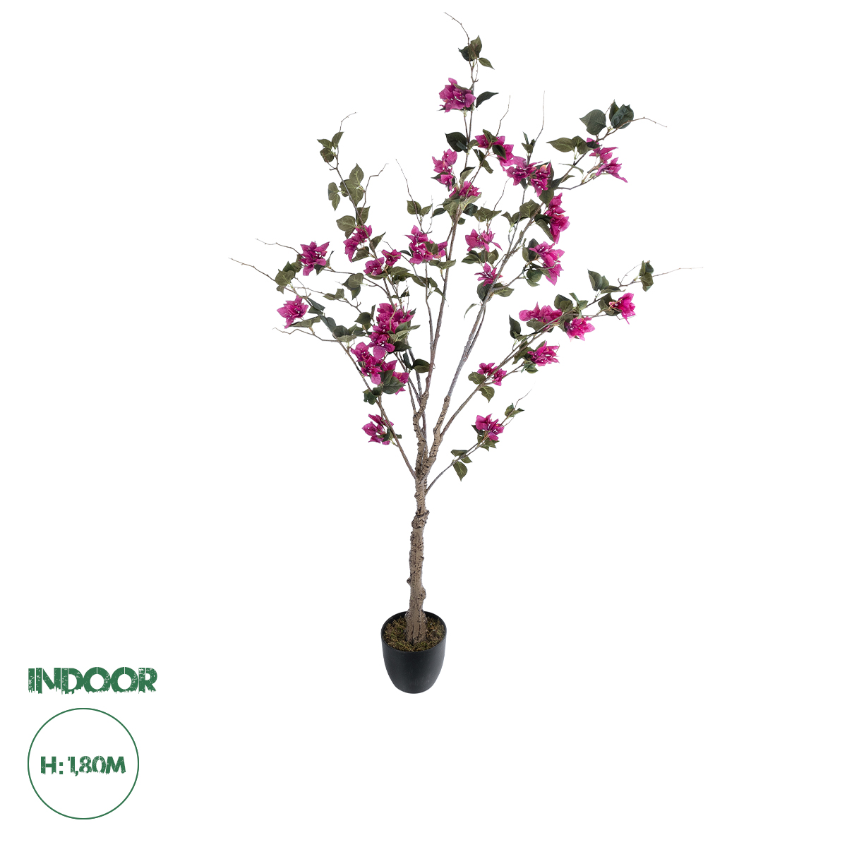 20676 GloboStar® Artificial Garden BOUGAUVILLEA 20676 Τεχνητό Διακοσμητικό Φυτό με Ανθη Μπουκανβίλιας Φουξ Υ180cm 20676 GloboStar® Artificial Garden BOUGAUVILLEA 20676 Τεχνητό Διακοσμητικό Φυτό με Ανθη Μπουκανβίλιας Φουξ Υ180cm