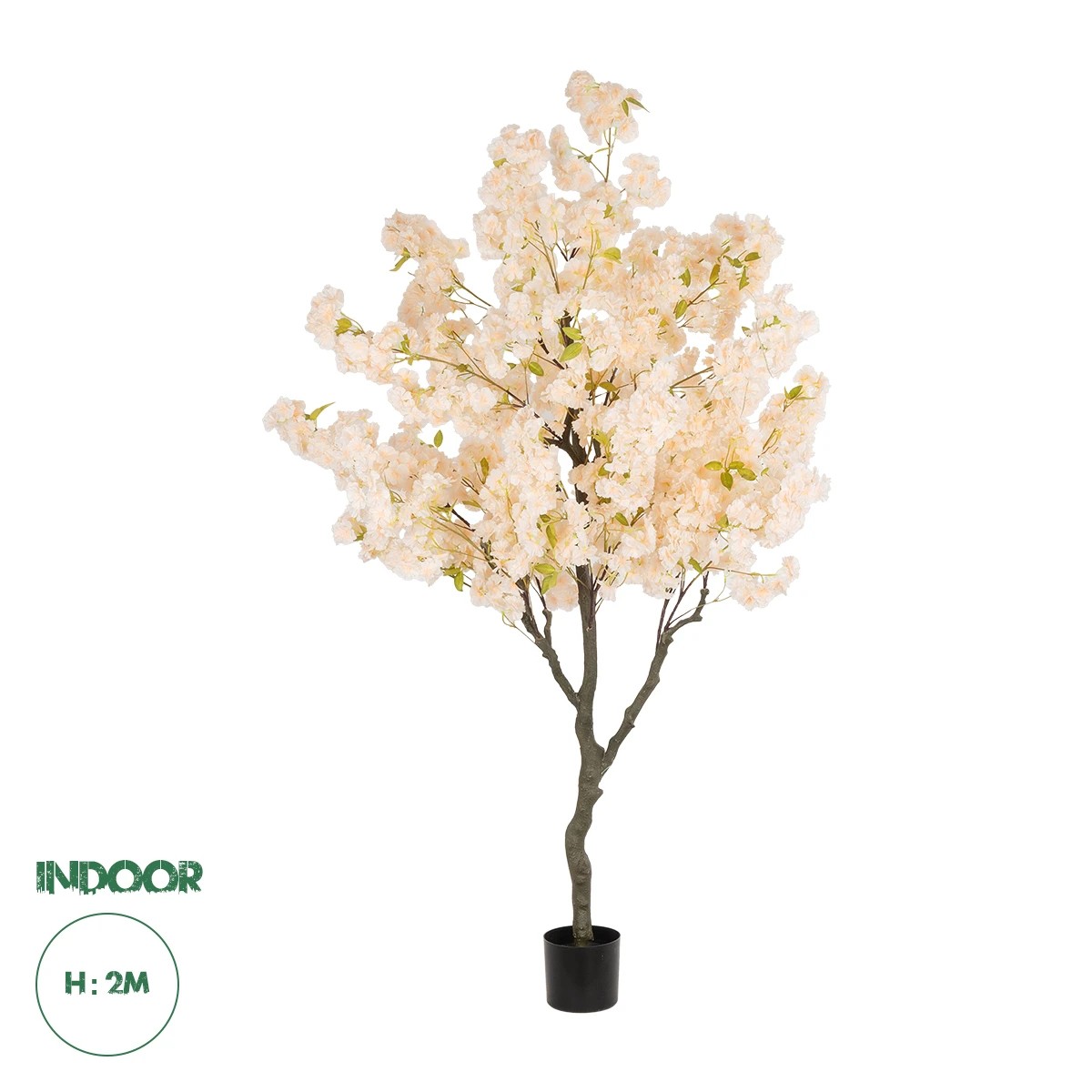 20680 GloboStar® Artificial Garden SALMON CHERRY BLOSSOM TREE 20680 Τεχνητό Διακοσμητικό Δέντρο Απαλό Ροζ Άνθος Κερασιάς Υ200cm 20680 GloboStar® Artificial Garden SALMON CHERRY BLOSSOM TREE 20680 Τεχνητό Διακοσμητικό Δέντρο Απαλό Ροζ Άνθος Κερασιάς Υ200cm