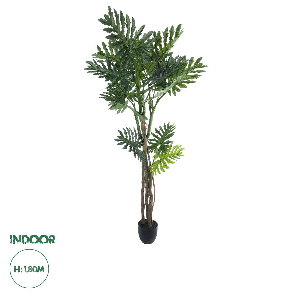 20685 GloboStar® Artificial Garden PHILODENDRON 20685 Τεχνητό Διακοσμητικό Φυτό Φυλλόδενδρο Υ180cm 20685 GloboStar® Artificial Garden PHILODENDRON 20685 Τεχνητό Διακοσμητικό Φυτό Φυλλόδενδρο Υ180cm
