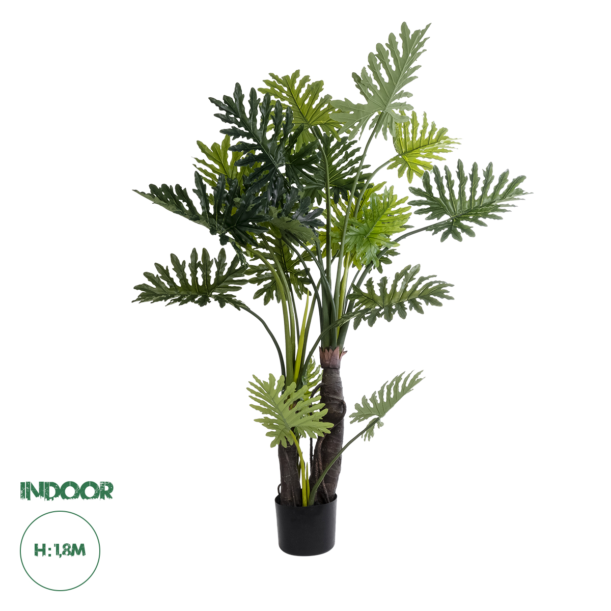 20687 GloboStar® Artificial Garden TARO 20687 Τεχνητό Διακοσμητικό Φυτό Κολοκασία Φ150 x Υ180cm 20687 GloboStar® Artificial Garden TARO 20687 Τεχνητό Διακοσμητικό Φυτό Κολοκασία Φ150 x Υ180cm