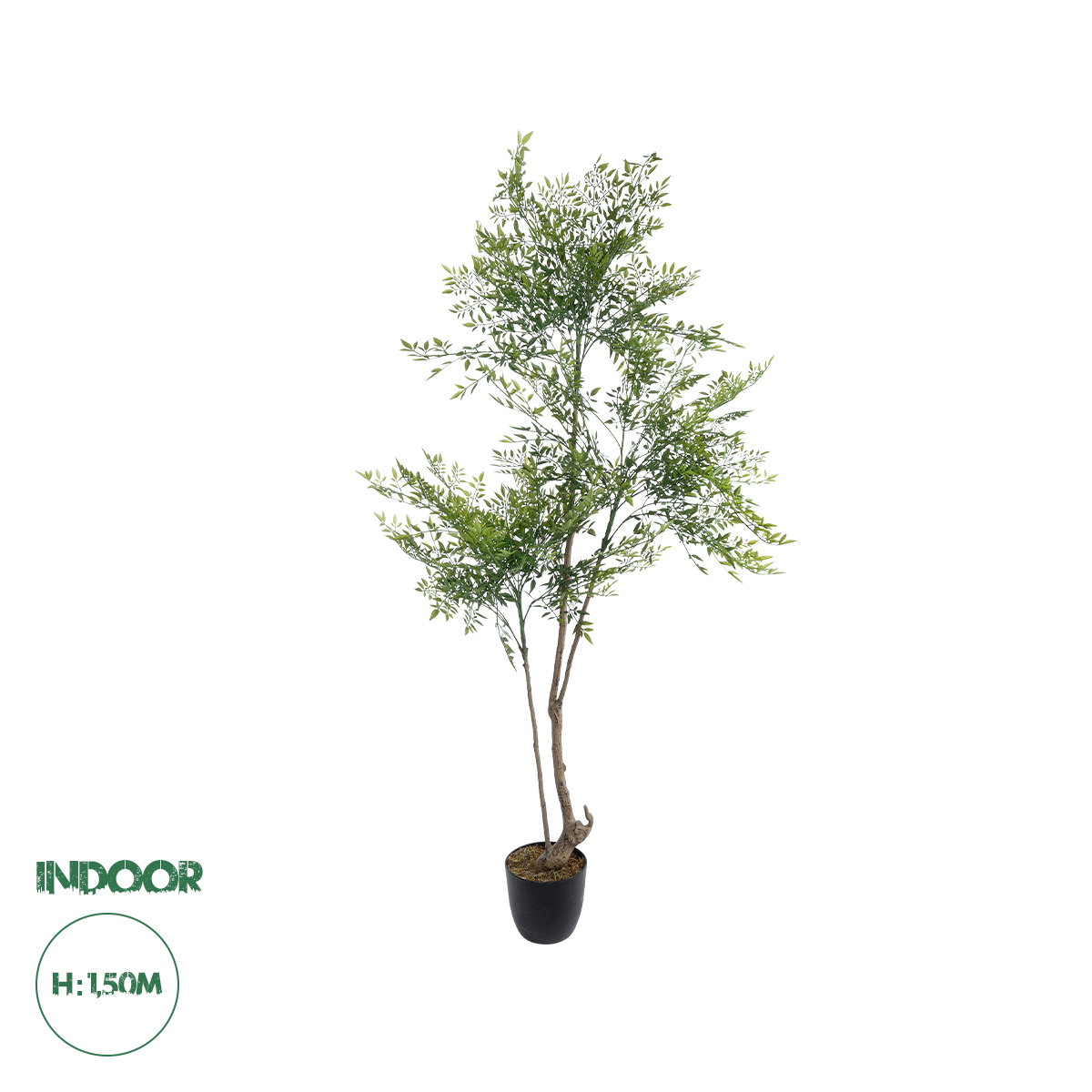 20965 GloboStar® Artificial Garden GREEN NANDINA PLANT 20965 Διακοσμητικό Φυτό Πράσινη Ναντίνα Φ66 x Υ150cm 20965 GloboStar® Artificial Garden GREEN NANDINA PLANT 20965 Διακοσμητικό Φυτό Πράσινη Ναντίνα Φ66 x Υ150cm