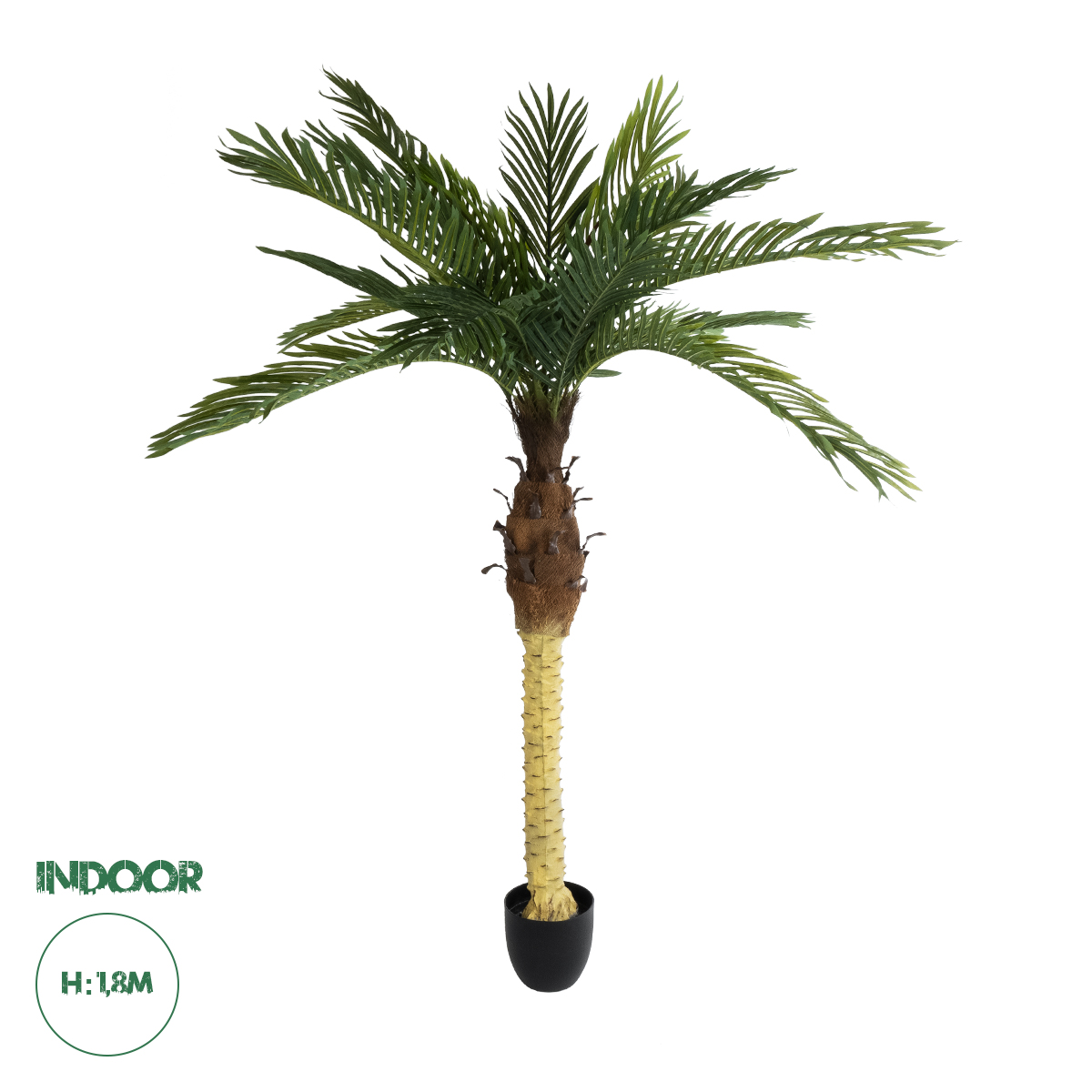 20968 GloboStar® Artificial Garden PHOENIX PALM TREE 20968 Τεχνητό Διακοσμητικό Φυτό Φοίνικας Φ150 x Υ180cm 20968 GloboStar® Artificial Garden PHOENIX PALM TREE 20968 Τεχνητό Διακοσμητικό Φυτό Φοίνικας Φ150 x Υ180cm