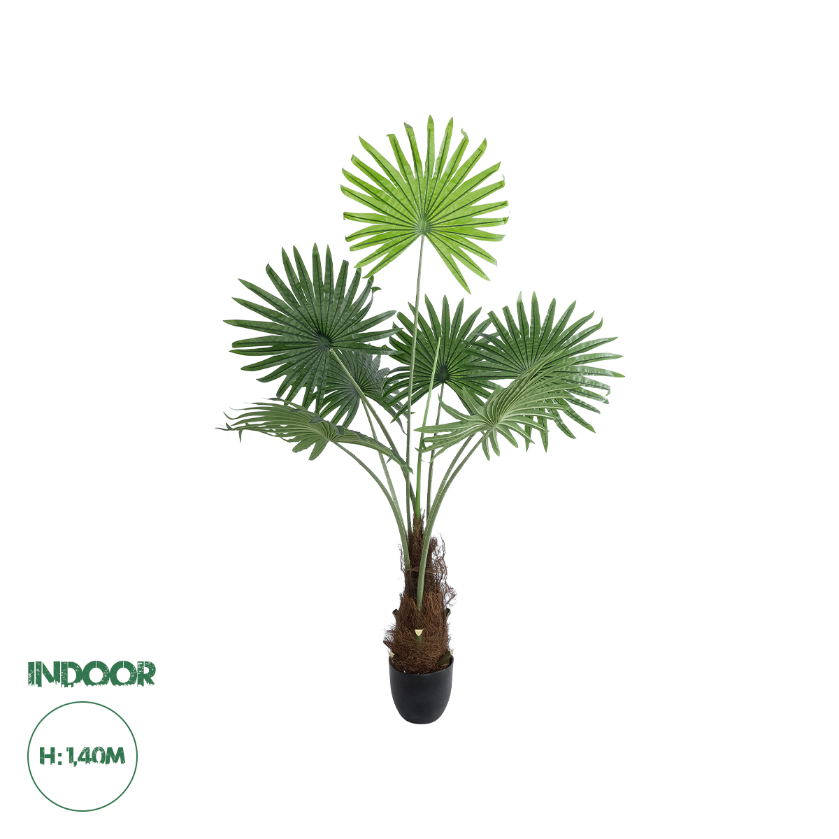 20971 GloboStar® Artificial Garden SERENOA PALM PLANT 20971 Διακοσμητικό Φυτό Φοίνικα Σερενόα Φ60 x Υ140cm 20971 GloboStar® Artificial Garden SERENOA PALM PLANT 20971 Διακοσμητικό Φυτό Φοίνικα Σερενόα Φ60 x Υ140cm