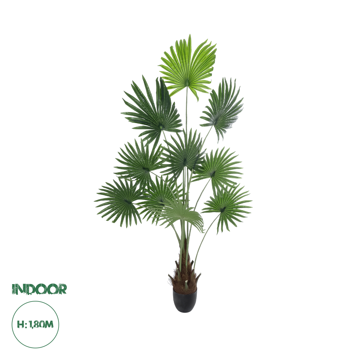 20972 GloboStar® Artificial Garden SERENOA PALM PLANT 20972 Διακοσμητικό Φυτό Φοίνικα Σερενόα Φ103 x Υ180cm 20972 GloboStar® Artificial Garden SERENOA PALM PLANT 20972 Διακοσμητικό Φυτό Φοίνικα Σερενόα Φ103 x Υ180cm