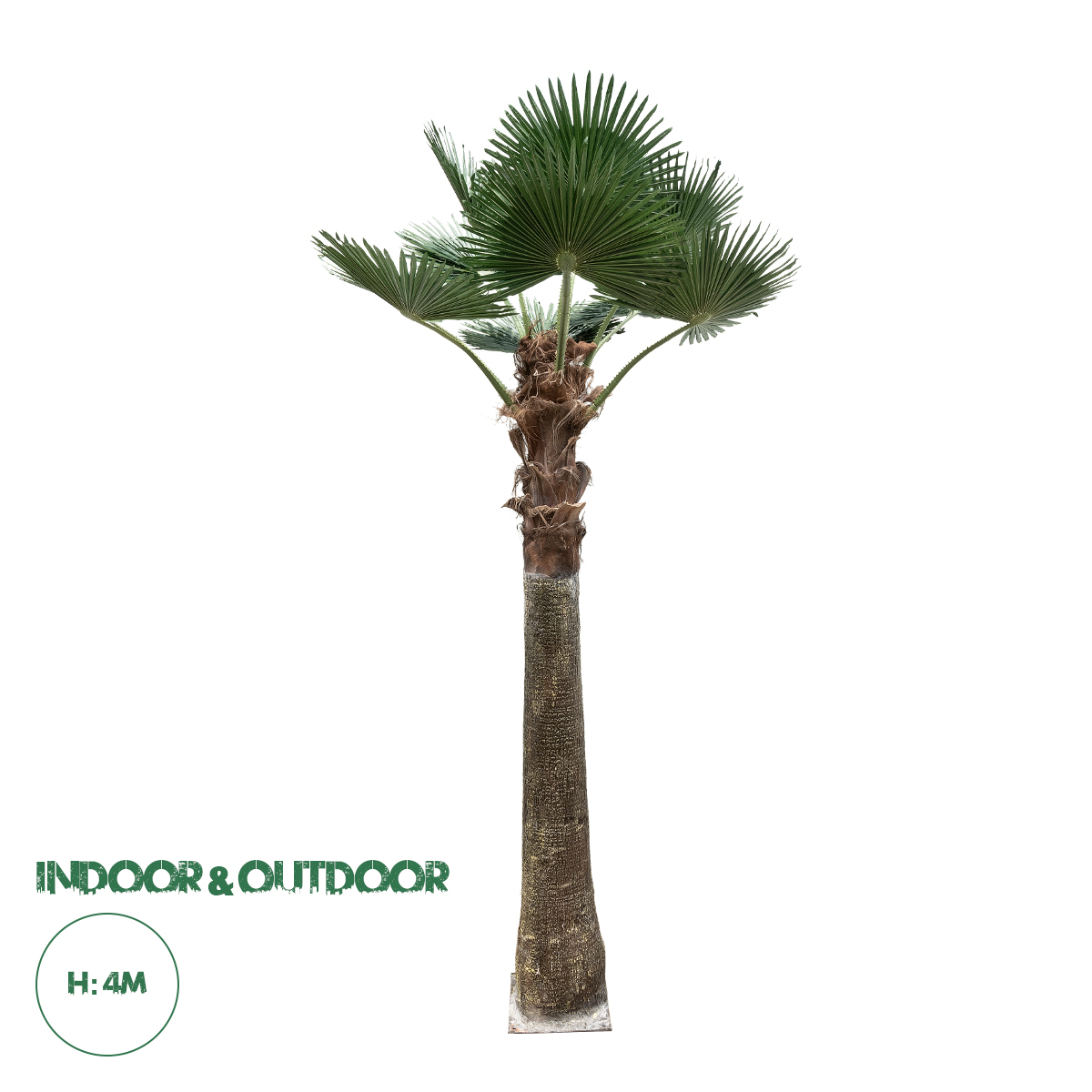 21055 GloboStar® Artificial Garden PLANT PALM TREE 21055 Διακοσμητικό Δέντρο Φοίνικα Φ240 x Υ400cm 21055 GloboStar® Artificial Garden PLANT PALM TREE 21055 Διακοσμητικό Δέντρο Φοίνικα Φ240 x Υ400cm