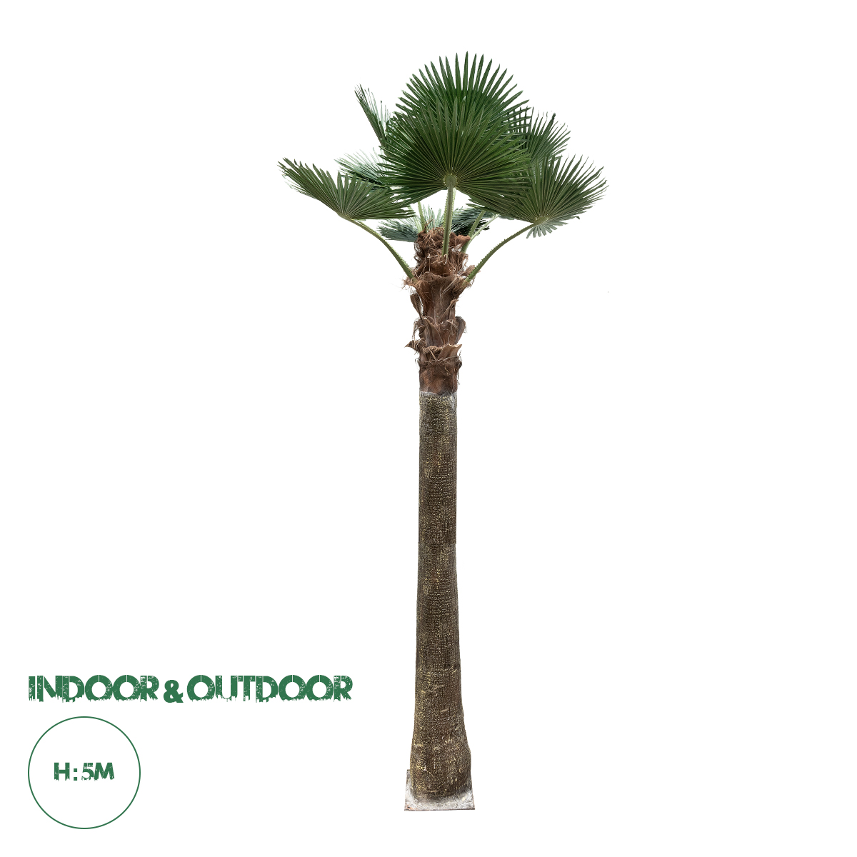 21056 GloboStar® Artificial Garden PLANT PALM TREE 21056 Διακοσμητικό Δέντρο Φοίνικα Φ240 x Υ500cm 21056 GloboStar® Artificial Garden PLANT PALM TREE 21056 Διακοσμητικό Δέντρο Φοίνικα Φ240 x Υ500cm