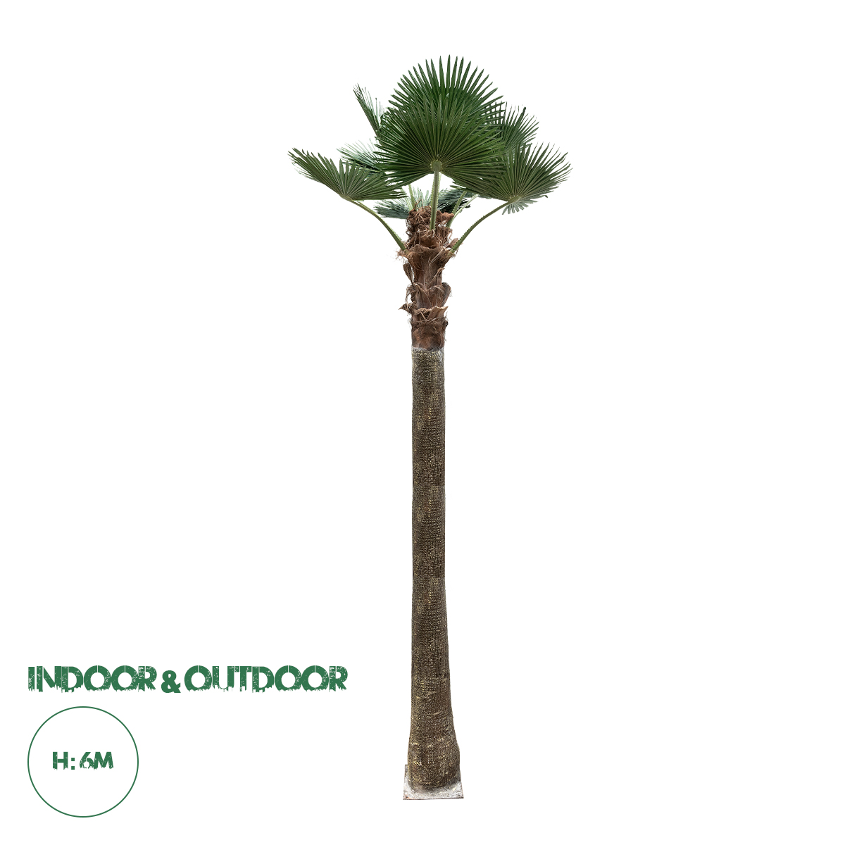 21057 GloboStar® Artificial Garden PLANT PALM TREE 21057 Διακοσμητικό Δέντρο Φοίνικα Φ240 x Υ600cm 21057 GloboStar® Artificial Garden PLANT PALM TREE 21057 Διακοσμητικό Δέντρο Φοίνικα Φ240 x Υ600cm