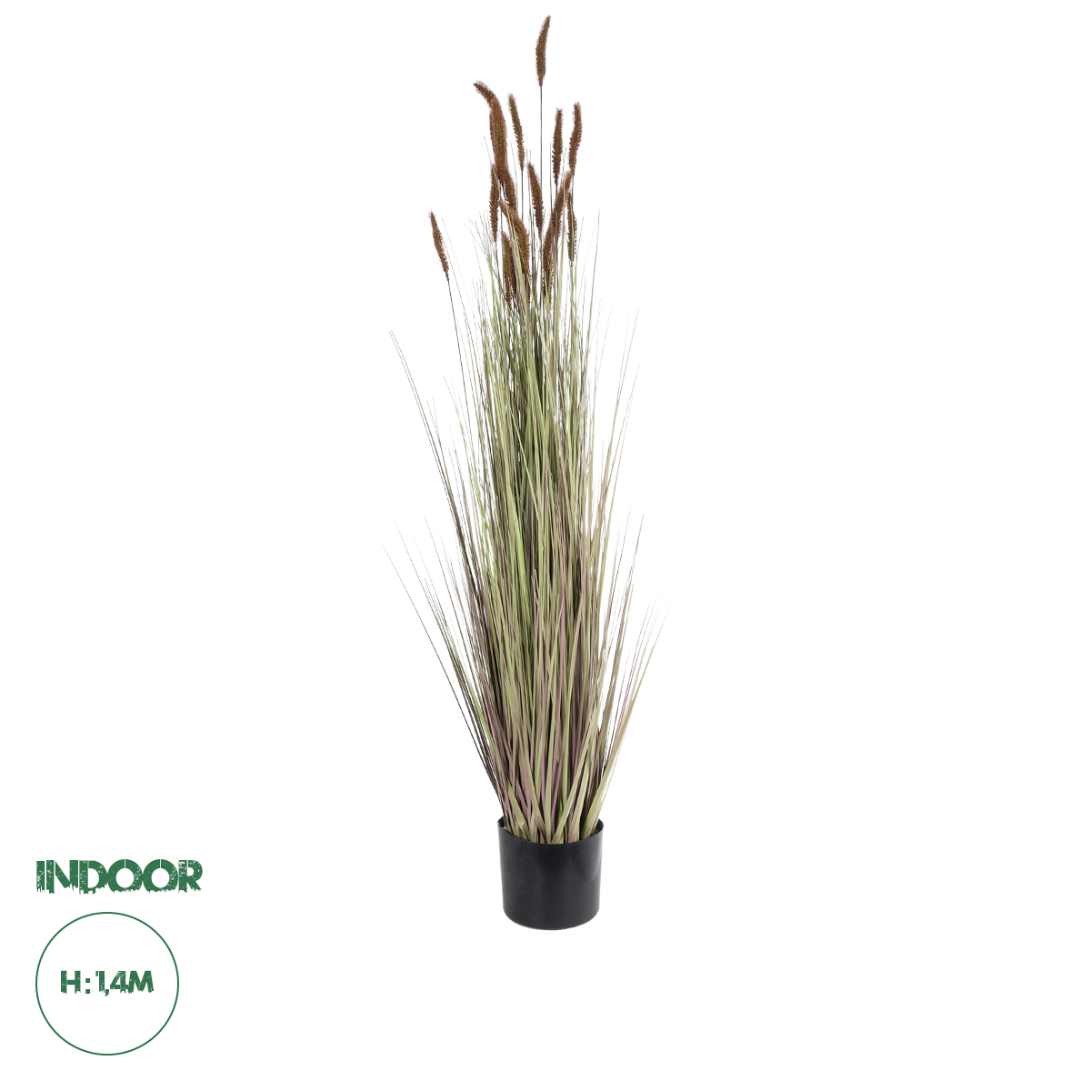 21101 GloboStar® Artificial Garden BROWN LAGURUS 21101 Διακοσμητικό Φυτό Καφέ Λαγοουρά Υ140cm 21101 GloboStar® Artificial Garden BROWN LAGURUS 21101 Διακοσμητικό Φυτό Καφέ Λαγοουρά Υ140cm