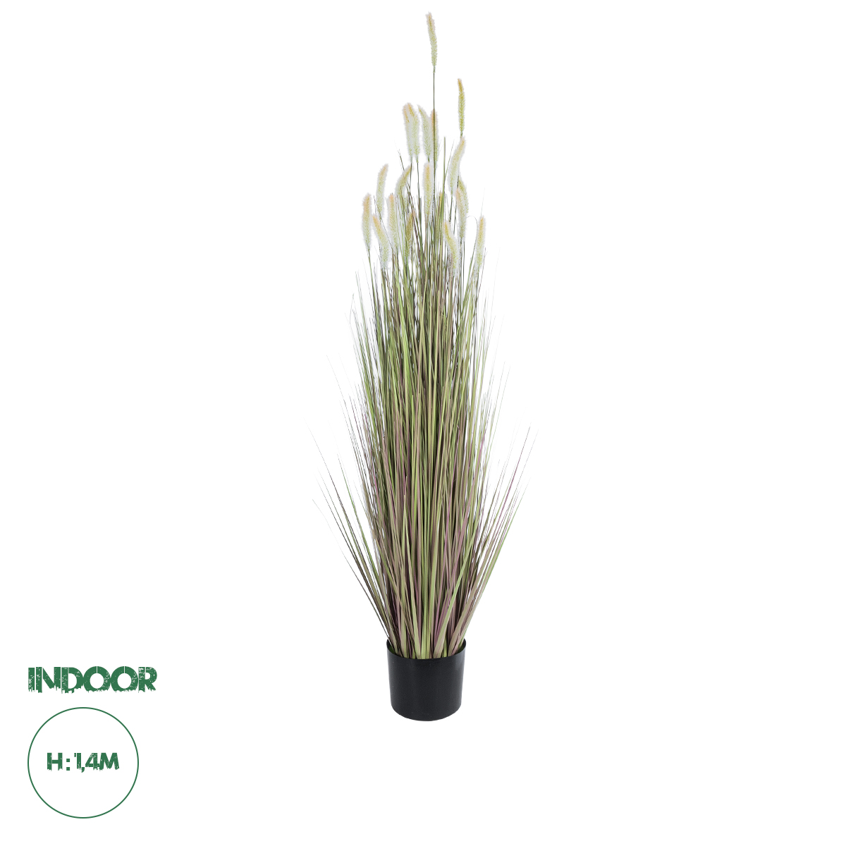 21102 GloboStar® Artificial Garden BEIGE LAGURUS 21102 Διακοσμητικό Φυτό Μπεζ Λαγοουρά Υ140cm 21102 GloboStar® Artificial Garden BEIGE LAGURUS 21102 Διακοσμητικό Φυτό Μπεζ Λαγοουρά Υ140cm