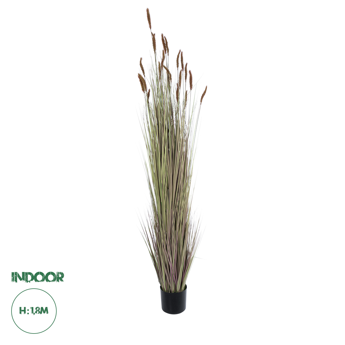 21103 GloboStar® Artificial Garden BROWN LAGURUS 21103 Διακοσμητικό Φυτό Καφέ Λαγοουρά Υ180cm 21103 GloboStar® Artificial Garden BROWN LAGURUS 21103 Διακοσμητικό Φυτό Καφέ Λαγοουρά Υ180cm