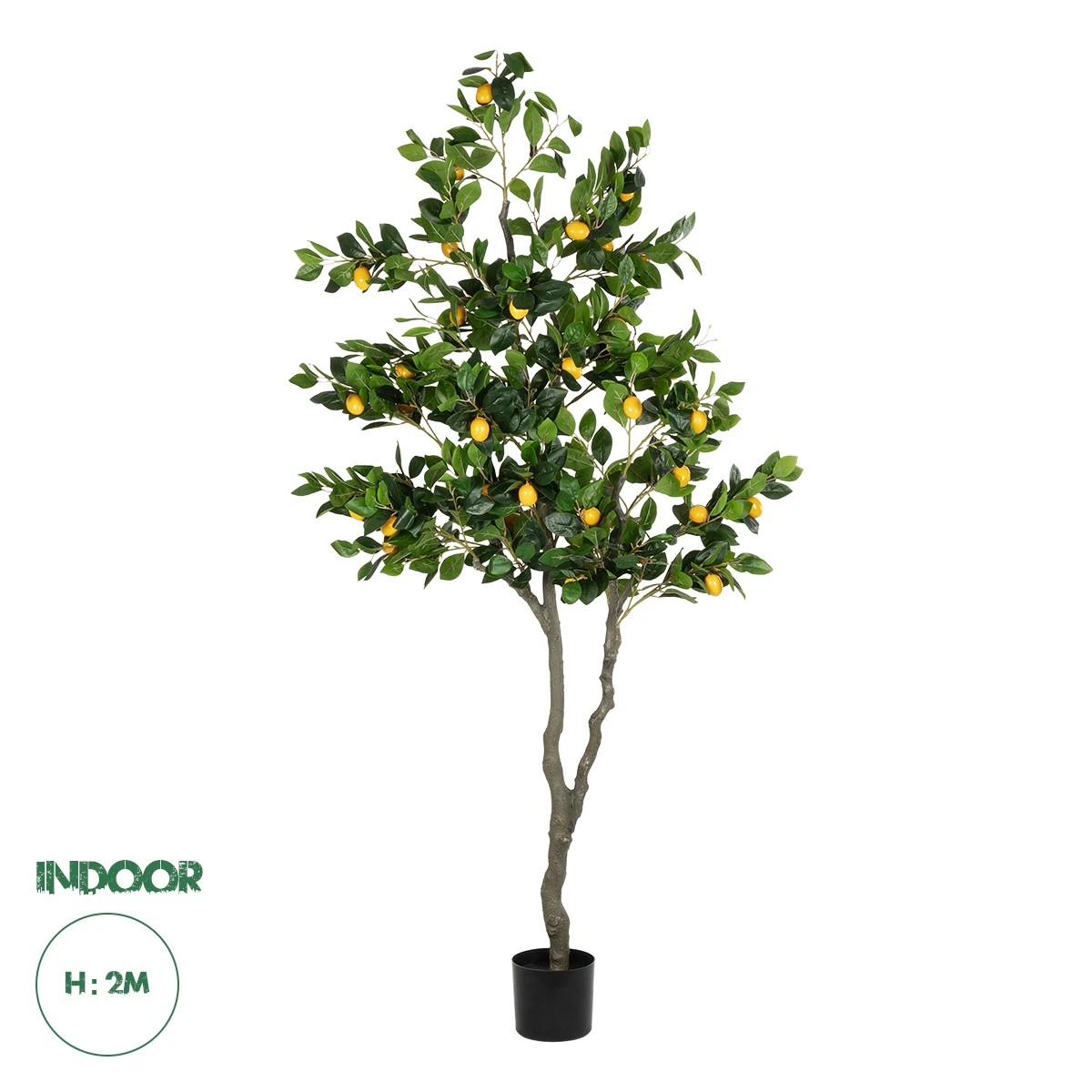21106 GloboStar® Artificial Garden LEMON TREE 21106 Τεχνητό Διακοσμητικό Δέντρο Λεμονιά Υ200cm 21106 GloboStar® Artificial Garden LEMON TREE 21106 Τεχνητό Διακοσμητικό Δέντρο Λεμονιά Υ200cm