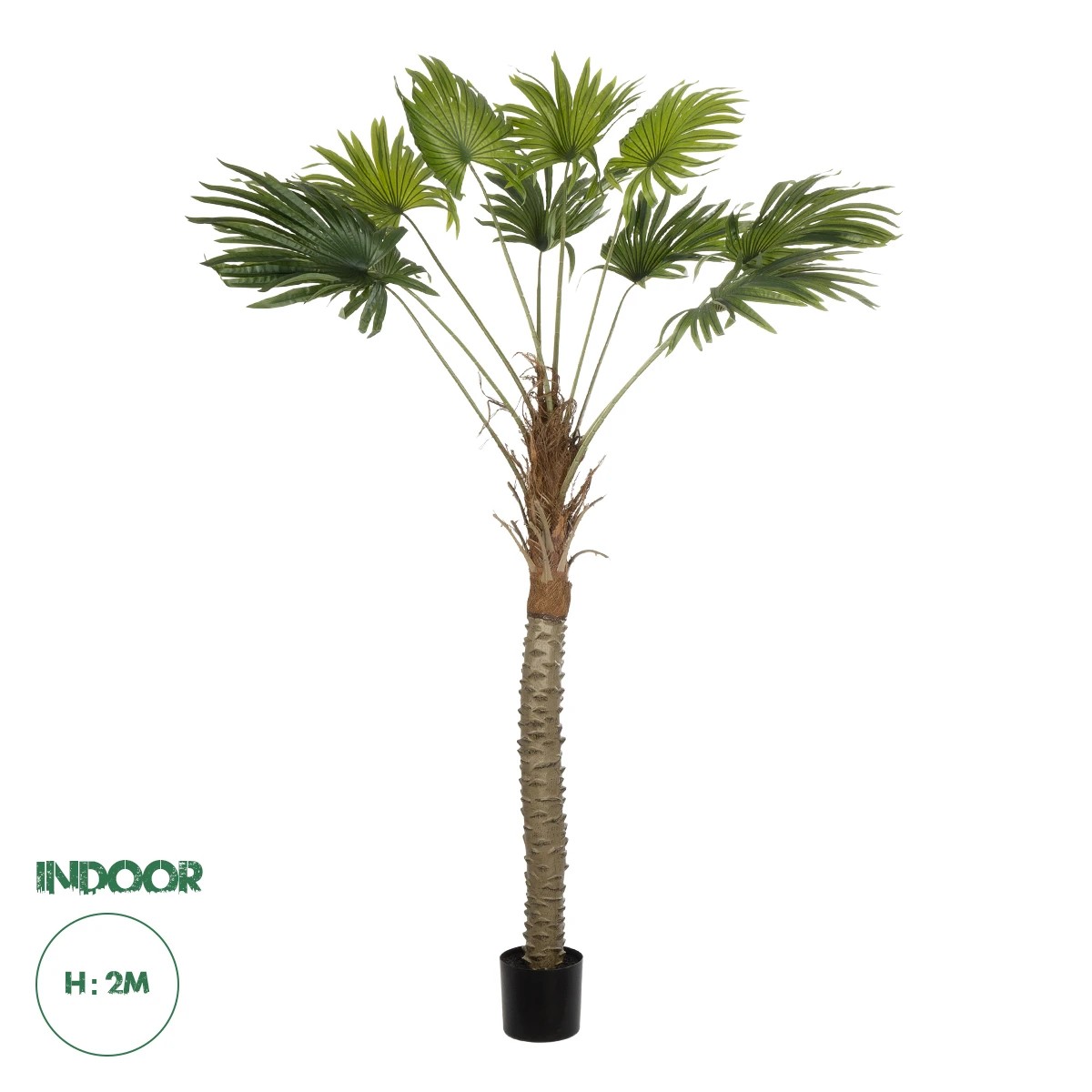 21107 GloboStar®  Artificial Garden WASHINGTONIA FILIFERA TREE 21107 Τεχνητό Διακοσμητικό Φοινικόδεντρου Υ200cm