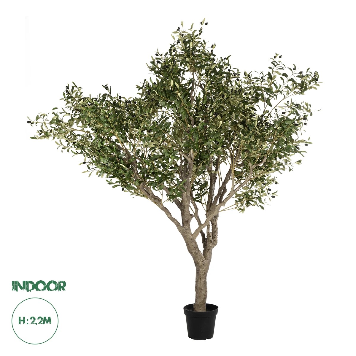 21112 GloboStar® Artificial Garden OLIVE TREE 21112 Τεχνητό Διακοσμητικό Δέντρο Ελιά Υ220cm 21112 GloboStar® Artificial Garden OLIVE TREE 21112 Τεχνητό Διακοσμητικό Δέντρο Ελιά Υ220cm