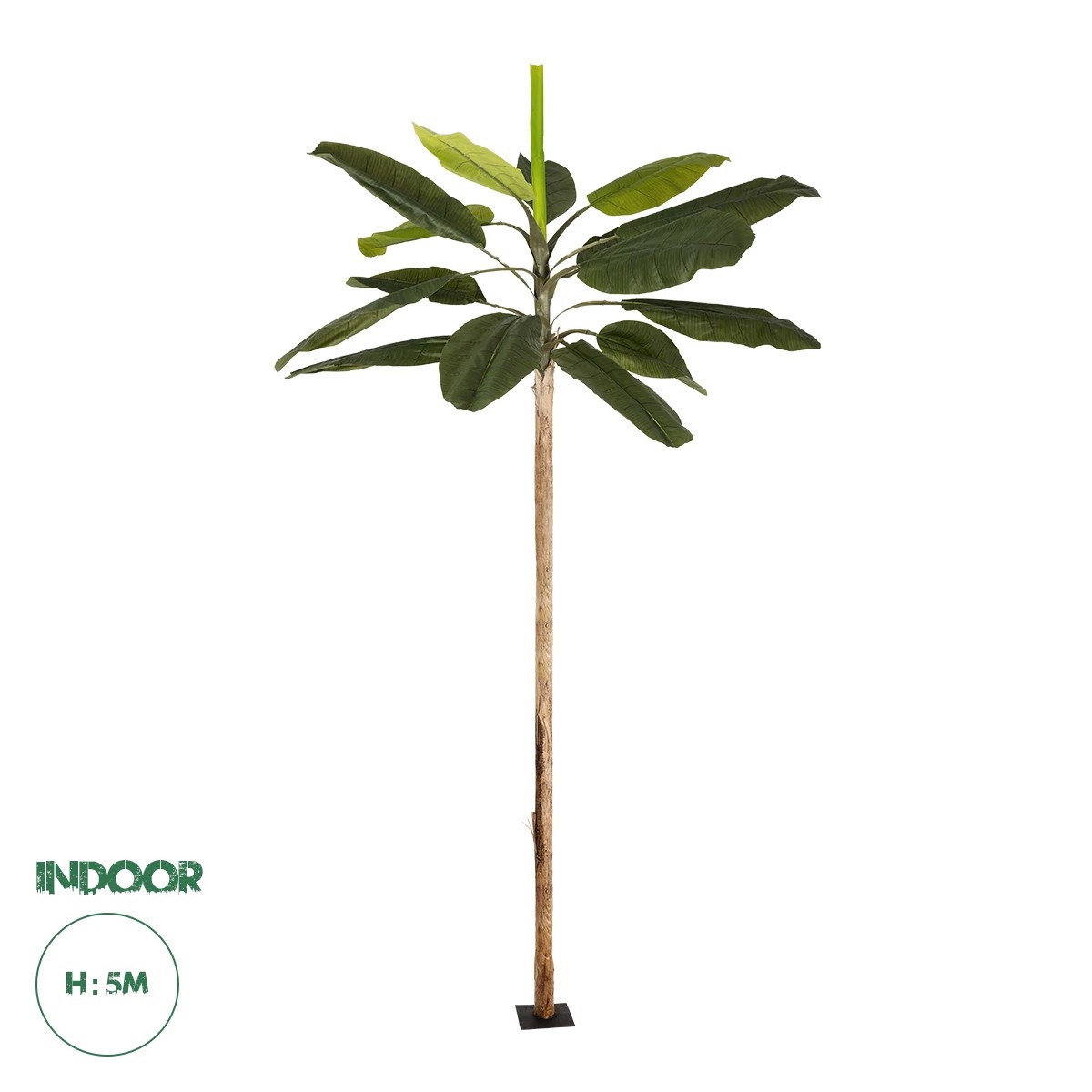 21502 GloboStar® Artificial Garden BANANA TREE 21502 Τεχνητό Διακοσμητικό Δέντρο Μπανανιάς Υ500cm 21502 GloboStar® Artificial Garden BANANA TREE 21502 Τεχνητό Διακοσμητικό Δέντρο Μπανανιάς Υ500cm