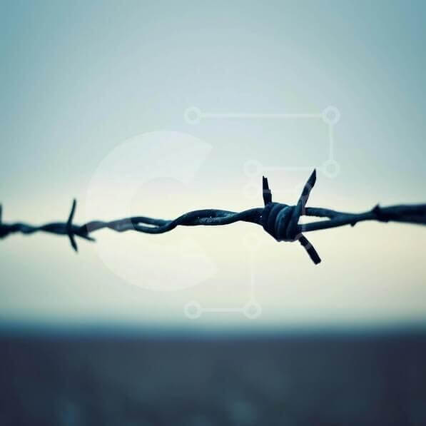 Intra Συλλεκτικό Ξύλινο Παζλ Plywood  4mm - Κοντινό πλάνο από συρματοπλέγματα με μαλακό φόντο Σε Ξύλινο Κουτί - Διαστάσεις Puzzle: 10x10 cm – 25 κομμάτια