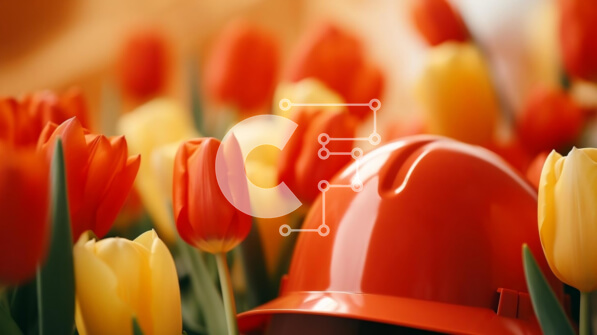 Intra Συλλεκτικό Ξύλινο Παζλ Plywood  4mm - Πορτοκαλί σκληρό καπέλο στο πεδίο τουλιπών Σε Ξύλινο Κουτί - Διαστάσεις: 10x10 cm – 25 κομμάτια