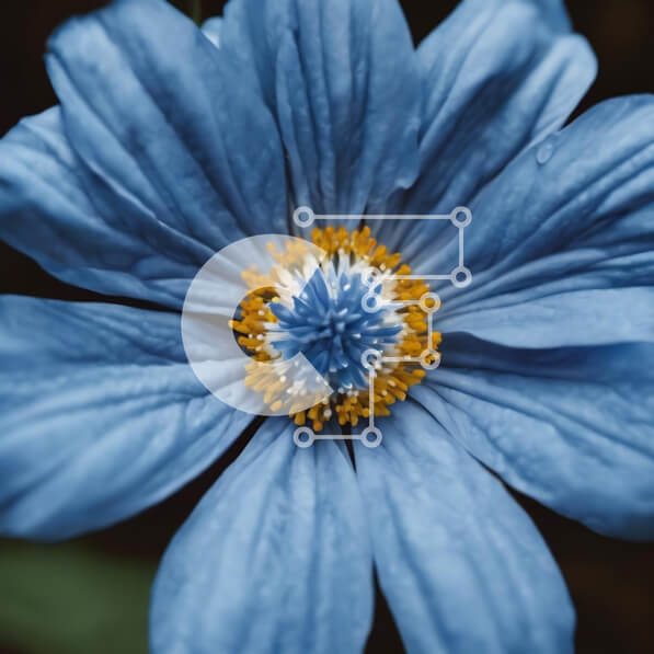 Intra Συλλεκτικό Ξύλινο Παζλ Plywood  4mm - Ζωντανό μπλε λουλούδι με κίτρινα κέντρα σε έναν κήπο Σε Ξύλινο Κουτί - Διαστάσεις: 10x10 cm – 25 κομμάτια