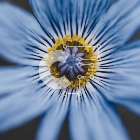 Intra Συλλεκτικό Ξύλινο Παζλ Plywood  4mm - Κοντινό πλάνο του μπλε λουλουδιού με τα κίτρινα κέντρα Σε Ξύλινο Κουτί - Διαστάσεις: 10x10 cm – 25 κομμάτια