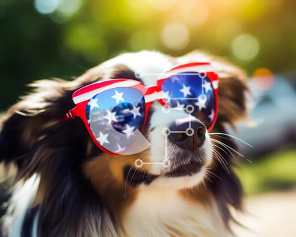 Σετ των 2 Intra Συλλεκτικό Ξύλινο Παζλ Plywood  4mm - Αμερικανική σημαία γυαλιά ηλίου για τους εορτασμούς της 4ης Ιουλίου Σε Ξύλινο Κουτί - Διαστάσεις: 10x10 cm – 25 κομμάτια