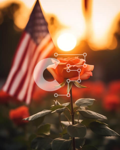 Intra Συλλεκτικό Ξύλινο Παζλ Plywood  4mm - Εορτασμός 4ης Ιουλίου με κόκκινο τριαντάφυλλο και αμερικανική σημαία Σε Ξύλινο Κουτί - Διαστάσεις: 10x10 cm – 25 κομμάτια