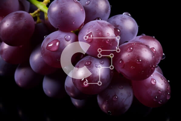 Σετ των 2 Intra Συλλεκτικό Ξύλινο Παζλ Plywood  4mm - Φρέσκα μωβ σταφύλια με σταγονίδια νερού Σε Ξύλινο Κουτί - Διαστάσεις: 10x10 cm – 25 κομμάτια