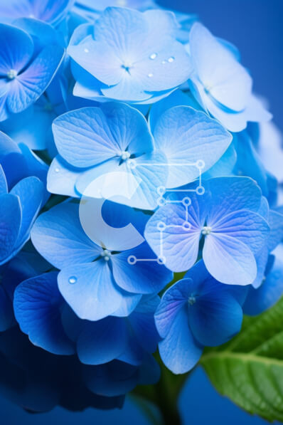 Σετ των 2 Intra Συλλεκτικό Ξύλινο Παζλ Plywood  4mm - Μπουκέτο μπλε λουλούδια με πράσινα φύλλα Σε Ξύλινο Κουτί - Διαστάσεις: 10x10 cm – 25 κομμάτια