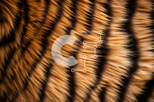 Σετ των 2 Intra Συλλεκτικό Ξύλινο Παζλ Plywood  4mm - Κοντινό πλάνο γούνας τίγρης σε καφέ και μαύρες αποχρώσεις Σε Ξύλινο Κουτί - Διαστάσεις: 10x10 cm – 25 κομμάτια