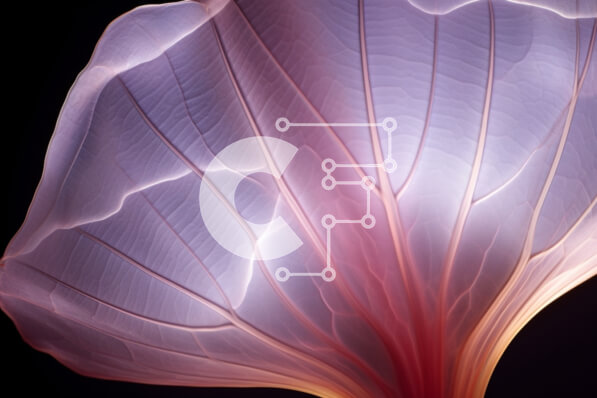 Intra Συλλεκτικό Ξύλινο Παζλ Plywood  4mm - Γκρο πλαν λαμπερό ροζ λουλούδι Σε Ξύλινο Κουτί - Διαστάσεις: 10x10 cm – 25 κομμάτια