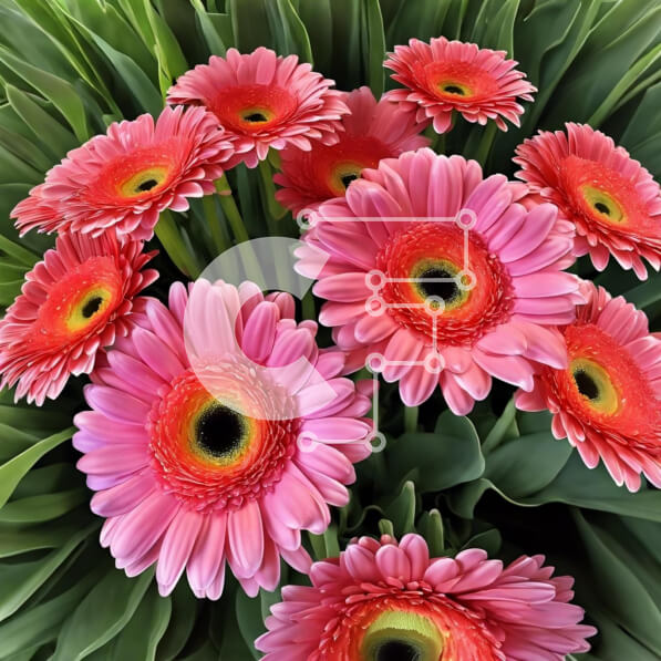 Intra Συλλεκτικό Ξύλινο Παζλ Plywood  4mm - Μπουκέτο με ροζ μαργαρίτες με πράσινα φύλλα Σε Ξύλινο Κουτί - Διαστάσεις: 10x10 cm – 25 κομμάτια