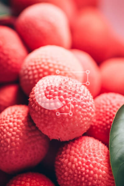 Σετ των 2 Intra Συλλεκτικό Ξύλινο Παζλ Plywood  4mm - Φρέσκα κόκκινα λίτσι με πράσινα φύλλα Σε Ξύλινο Κουτί - Διαστάσεις: 10x10 cm – 25 κομμάτια