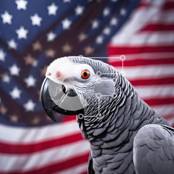 Intra Συλλεκτικό Ξύλινο Παζλ Plywood  4mm - Γκρίζος παπαγάλος μπροστά από την αμερικανική σημαία Σε Ξύλινο Κουτί - Διαστάσεις: 10x10 cm – 25 κομμάτια
