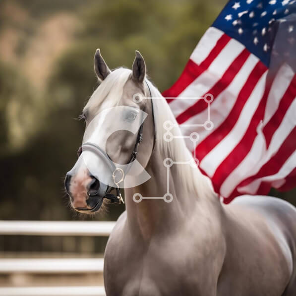 Intra Συλλεκτικό Ξύλινο Παζλ Plywood  4mm - Λευκό άλογο με την αμερικανική σημαία στο στόμα Σε Ξύλινο Κουτί - Διαστάσεις: 10x10 cm – 25 κομμάτια