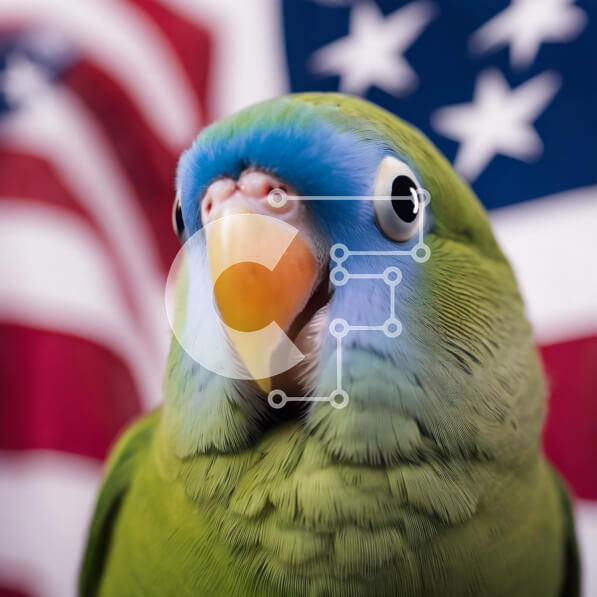 Intra Συλλεκτικό Ξύλινο Παζλ Plywood  4mm - Περίεργος πράσινος παπαγάλος μπροστά από την αμερικανική σημαία Σε Ξύλινο Κουτί - Διαστάσεις: 10x10 cm – 25 κομμάτια