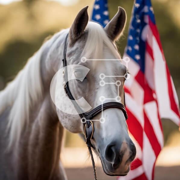 Intra Συλλεκτικό Ξύλινο Παζλ Plywood  4mm - Λευκό Άλογο μπροστά από την αμερικανική σημαία Σε Ξύλινο Κουτί - Διαστάσεις: 10x10 cm – 25 κομμάτια